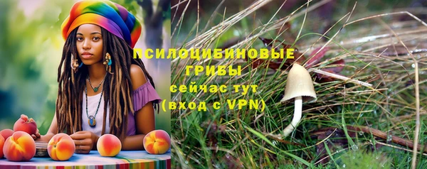 мет Дмитриев