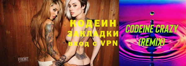PSILOCYBIN Гусь-Хрустальный