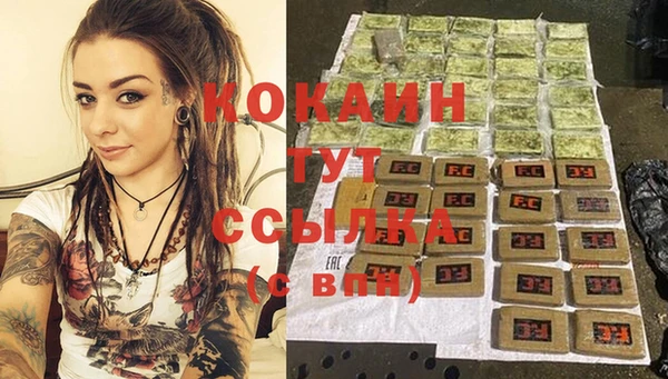 мет Дмитриев