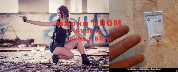 мет Дмитриев