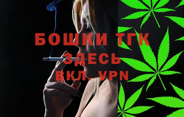 мет Дмитриев