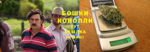 мет Дмитриев