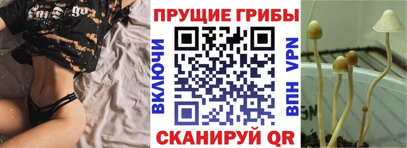 Галлюциногенные грибы мицелий Пыть-Ях